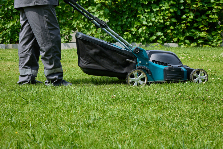 Picture of a man in overalls with a lawn mower cutting grass in a modern garden